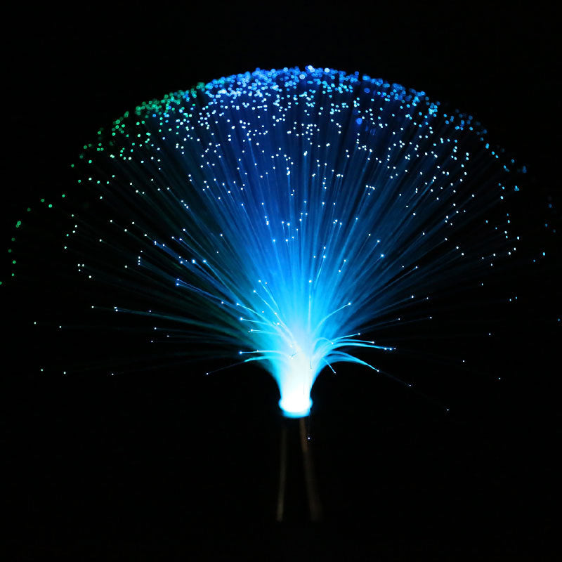 Colorful Changing LED Fiber Optic Flower Light