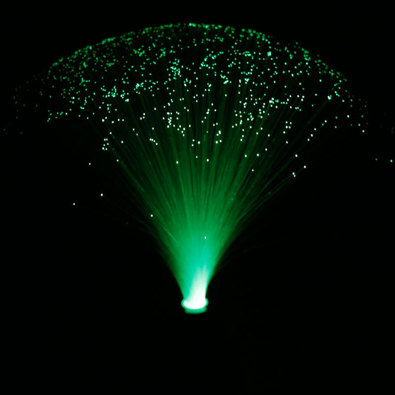 Colorful Changing LED Fiber Optic Flower Light