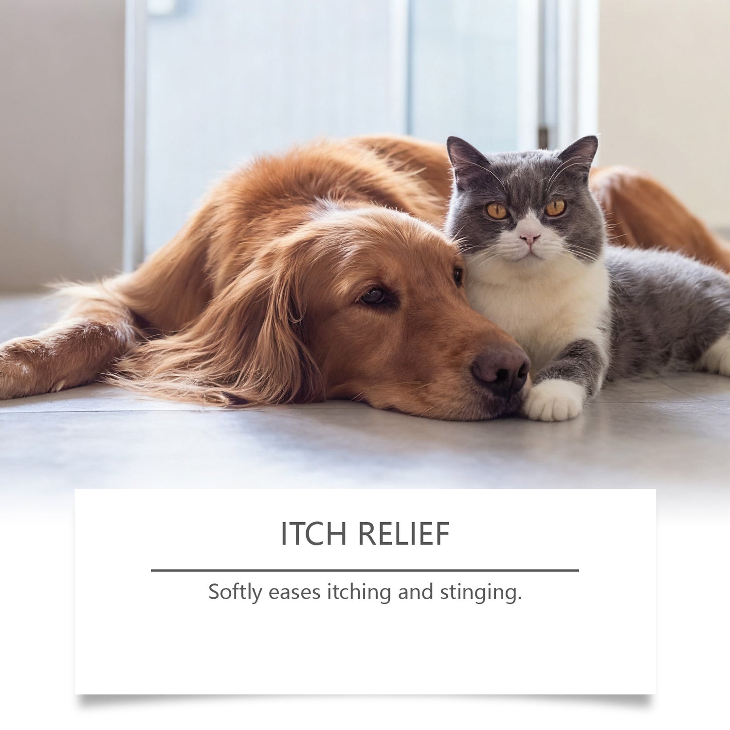 Pet Hydro Gel