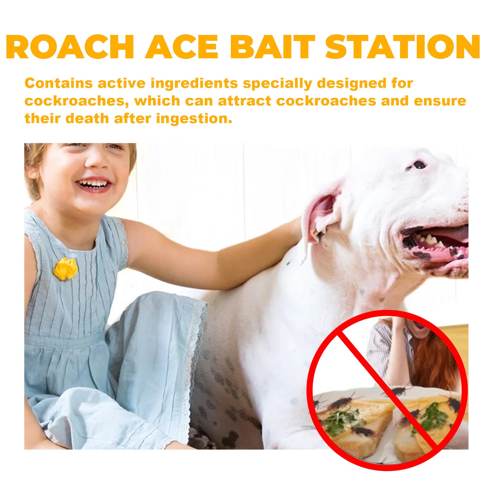 Home Living Room And Kitchen Cockroach Bait Gel