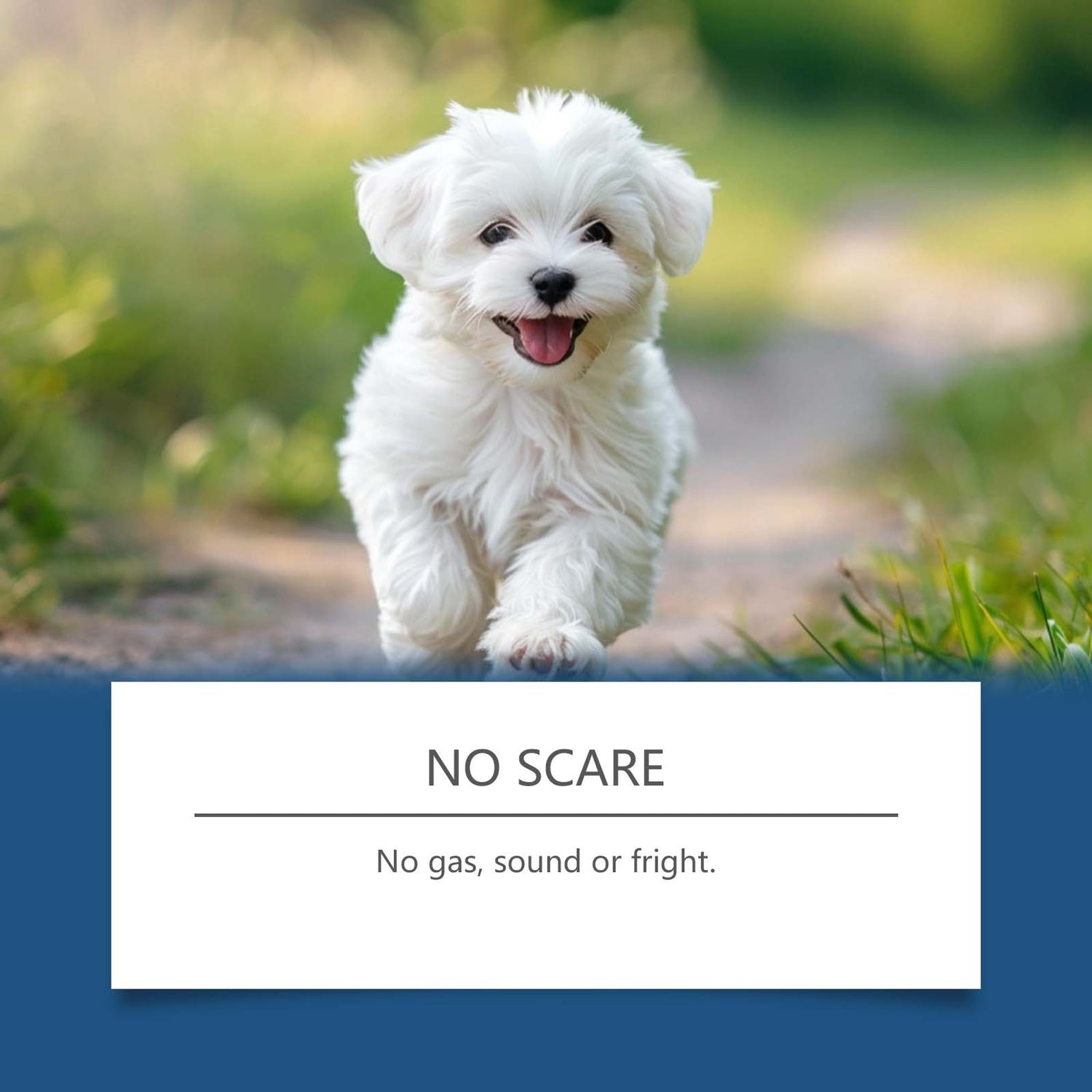Pet Skin Soothing Spray