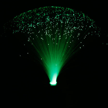 Colorful  Changing LED Fiber Optic Flower Light
